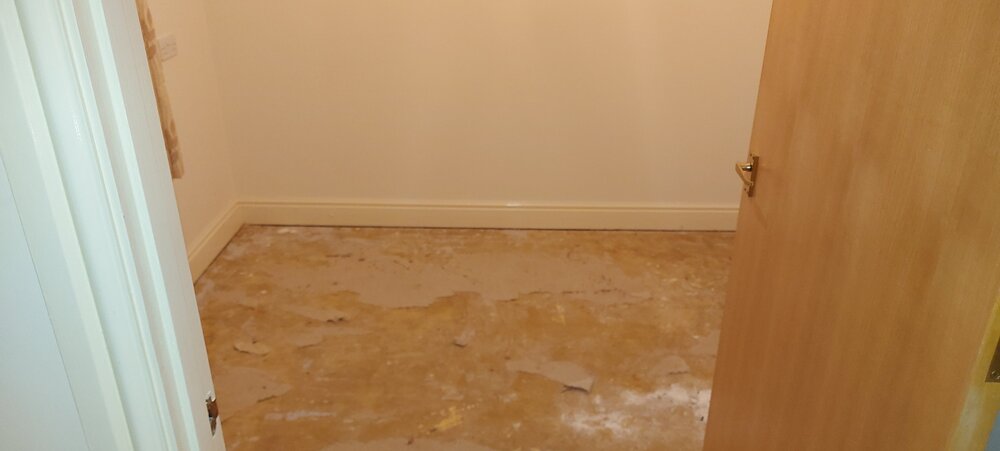 Set 1 - After Photo