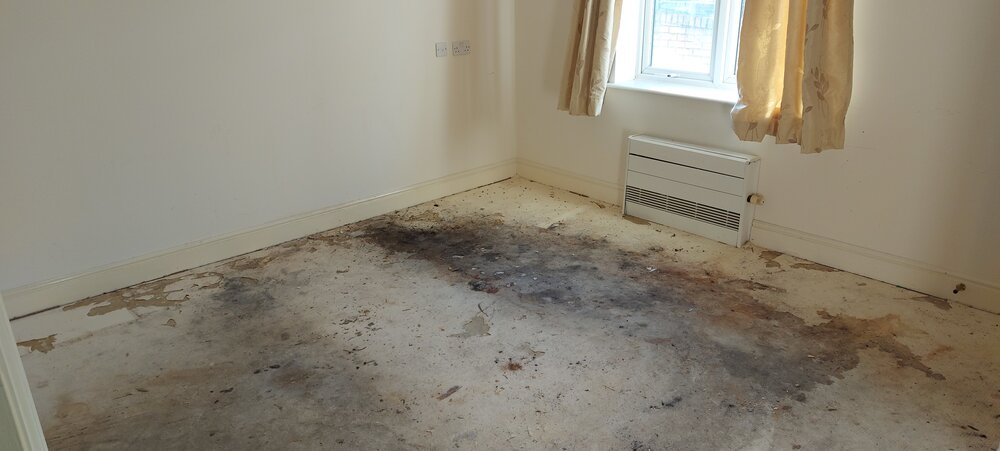 Set 1 - After Photo